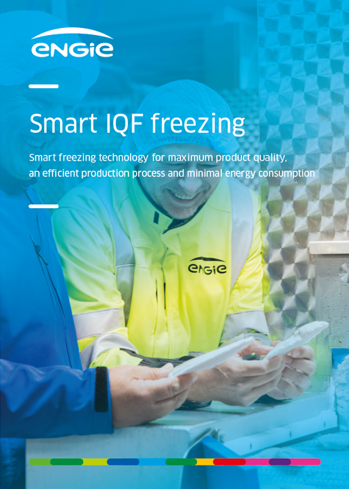 Knowledge Document IQF Freezing Cover