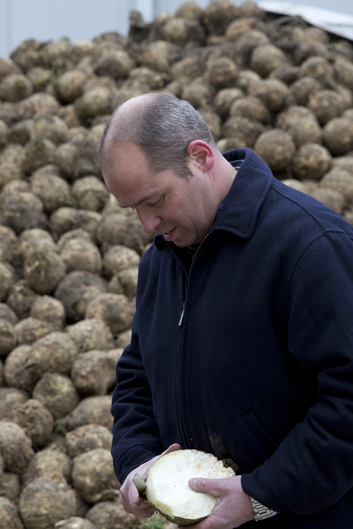 jan boer van novifarm