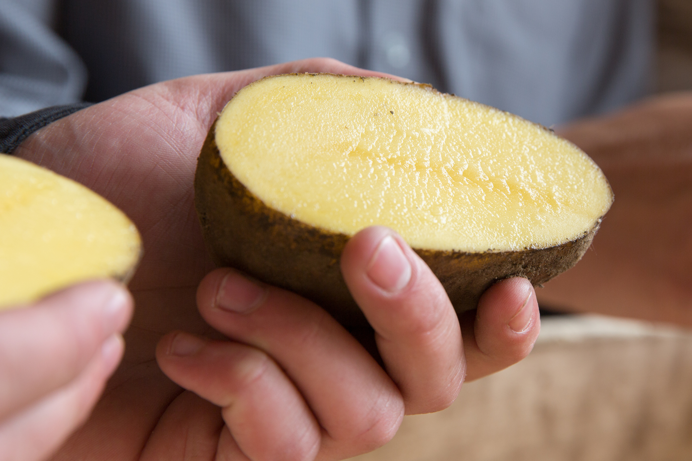 mooie foto van een doorgesneden aardappel die iemand in de hand vasthoudt
