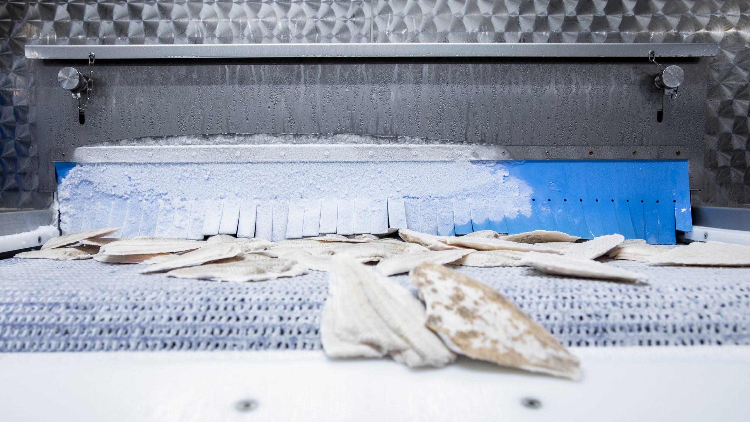ingevroren vis met iqf freezing