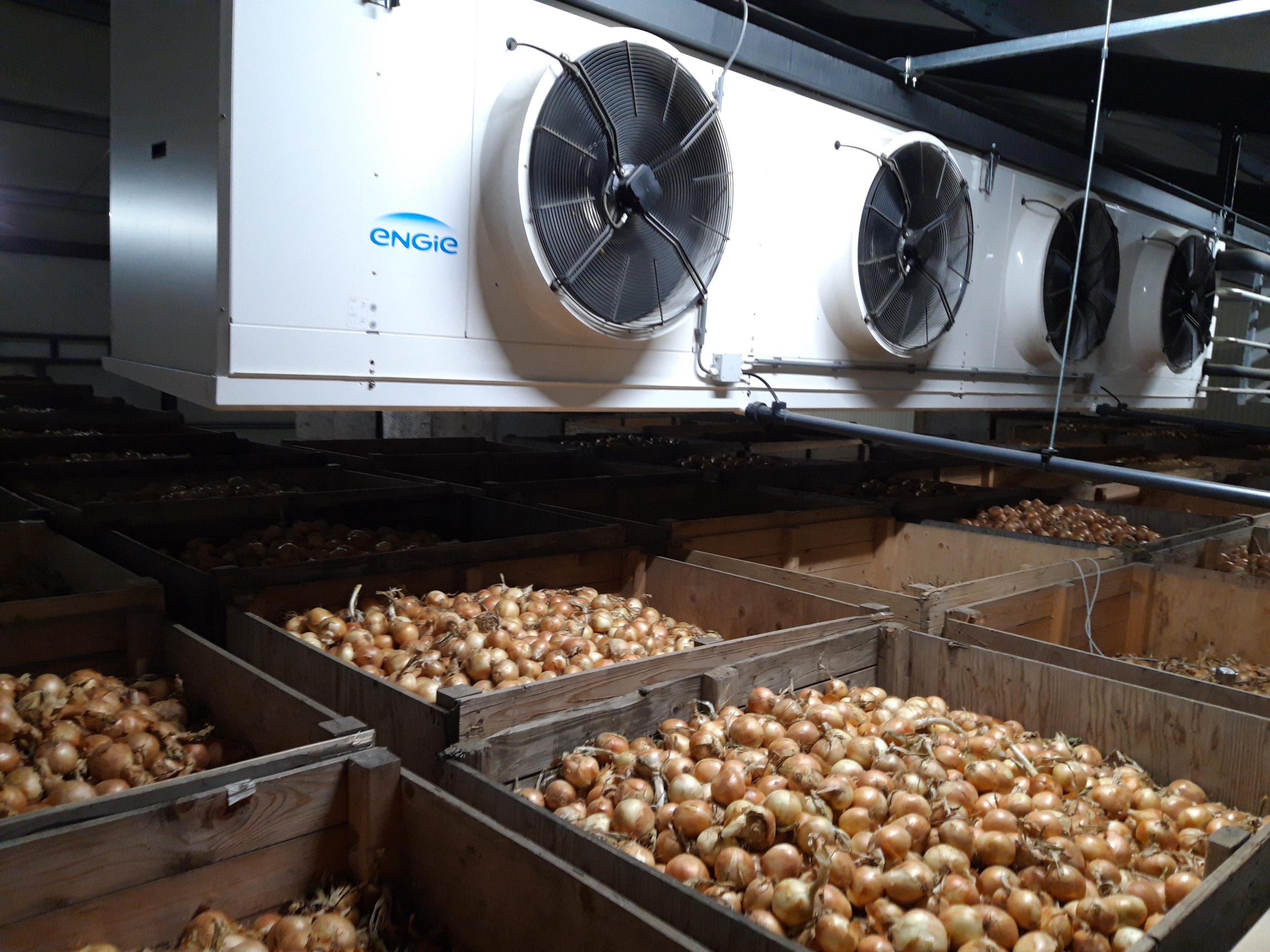 condensdrooginstallatie franse uientelers